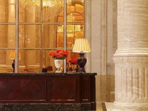 深圳福田山语清晖大户型现楼深度解析 奢居典范，静享繁华